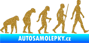 Samolepka Evoluce 001 pravá Ultra Metalic zlatá
