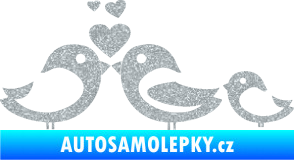 Samolepka Bird family 001 rodina v autě Ultra Metalic stříbrná metalíza
