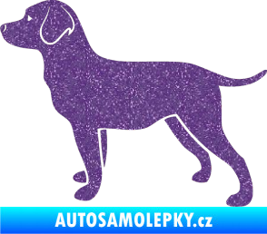 Samolepka Pes 062 levá Labrador Ultra Metalic fialová