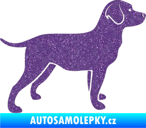 Samolepka Pes 062 pravá Labrador Ultra Metalic fialová