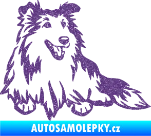 Samolepka Pes 162 pravá sheltie Ultra Metalic fialová