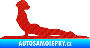 Samolepka Jóga 004 levá 3D karbon červený