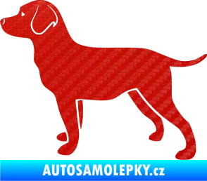 Samolepka Pes 062 levá Labrador 3D karbon červený