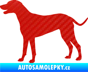 Samolepka Pes 095 levá Dalmatin 3D karbon červený