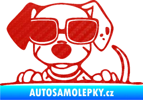 Samolepka Pes s brýlemi 101 levá v autě 3D karbon červený