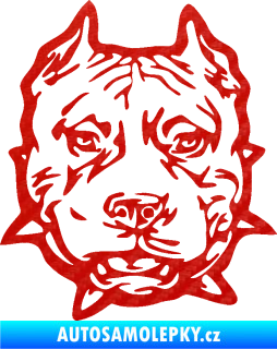Samolepka Pitbull hlava 003 pravá 3D karbon červený