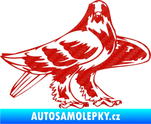 Samolepka Predators 047 pravá 3D karbon červený
