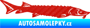 Samolepka Ryba 020 pravá jeseter 3D karbon červený