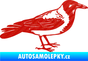 Samolepka Vrána 001 pravá 3D karbon červený