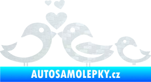 Samolepka Bird family 001 rodina v autě 3D karbon bílý