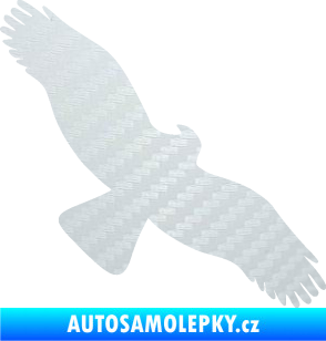 Samolepka Dravec na sklo 001 pravá 3D karbon bílý