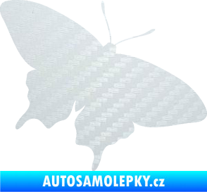 Samolepka Motýl 010 pravá 3D karbon bílý