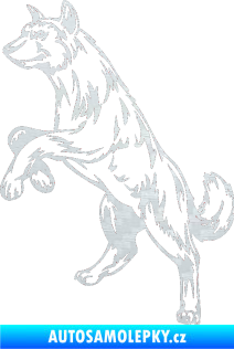 Samolepka Pes 025 levá 3D karbon bílý