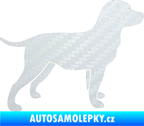 Samolepka Pes 062 pravá Labrador 3D karbon bílý
