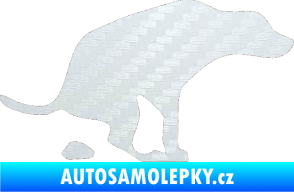 Samolepka Pes 077 pravá 3D karbon bílý