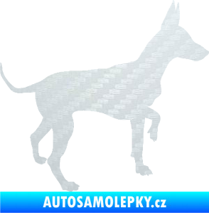Samolepka Pes 093 pravá Pražský krysařík 3D karbon bílý