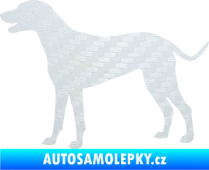Samolepka Pes 095 levá Dalmatin 3D karbon bílý