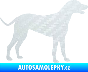 Samolepka Pes 095 pravá Dalmatin 3D karbon bílý