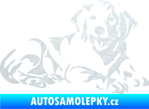 Samolepka Pes 106 pravá Retrívr 3D karbon bílý
