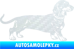 Samolepka Pes 122 pravá jezevčík 3D karbon bílý