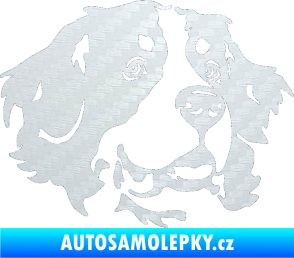 Samolepka Pes 131 pravá bernský salašnický pes 3D karbon bílý