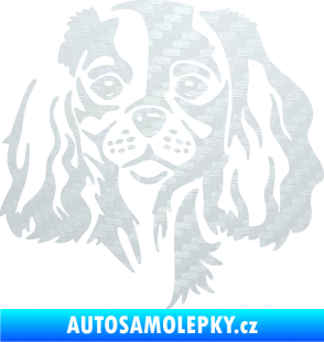 Samolepka Pes 132 pravá Cavalier king Charles spaniel 3D karbon bílý