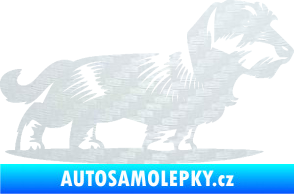 Samolepka Pes 133 pravá drsnosrstý jezevčík 3D karbon bílý