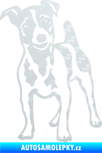 Samolepka Pes 144 levá Jack Russel terier 3D karbon bílý