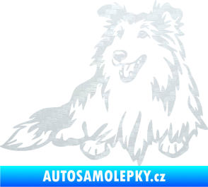 Samolepka Pes 162 levá sheltie 3D karbon bílý