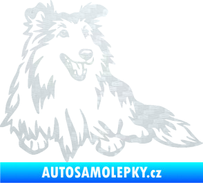 Samolepka Pes 162 pravá sheltie 3D karbon bílý