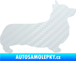 Samolepka Pes 164 pravá Welsh Corgi Pembroke 3D karbon bílý