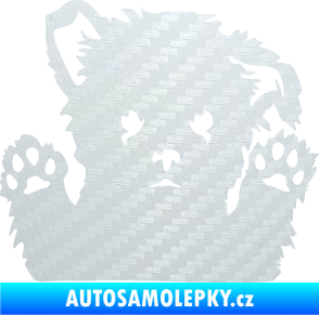 Samolepka Pes 189 pravá kouká z okna 3D karbon bílý