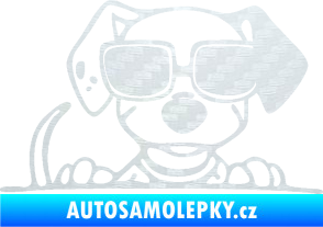 Samolepka Pes s brýlemi 101 pravá v autě 3D karbon bílý