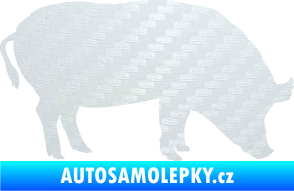 Samolepka Prase 004 pravá 3D karbon bílý