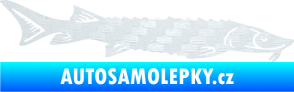 Samolepka Ryba 020 pravá jeseter 3D karbon bílý
