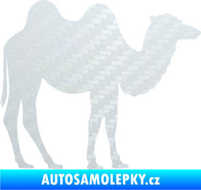 Samolepka Velbloud 003 pravá 3D karbon bílý