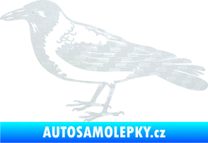 Samolepka Vrána 001 levá 3D karbon bílý