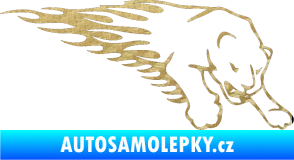 Samolepka Animal flames 020 pravá puma 3D karbon zlatý