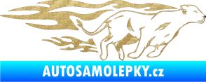 Samolepka Animal flames 084 pravá lvice 3D karbon zlatý