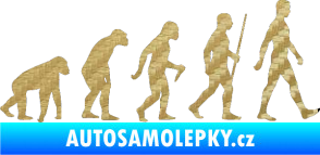 Samolepka Evoluce 001 pravá 3D karbon zlatý