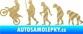 Samolepka Evoluce 002 motokros levá 3D karbon zlatý