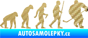 Samolepka Evoluce 003 hokej pravá 3D karbon zlatý