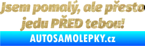 Samolepka Jsem pomalý, ale přesto jedu PŘED tebou! 3D karbon zlatý