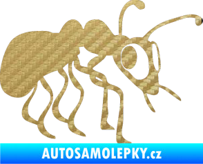Samolepka Mravenec 001 pravá 3D karbon zlatý