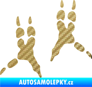 Samolepka Papoušek 008 stopy pravá 3D karbon zlatý