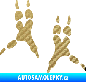 Samolepka Papoušek 008 stopy levá 3D karbon zlatý