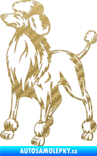 Samolepka Pes 014 levá Pudl 3D karbon zlatý