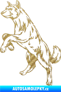Samolepka Pes 025 levá 3D karbon zlatý