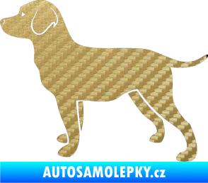 Samolepka Pes 062 levá Labrador 3D karbon zlatý