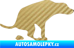 Samolepka Pes 077 pravá 3D karbon zlatý